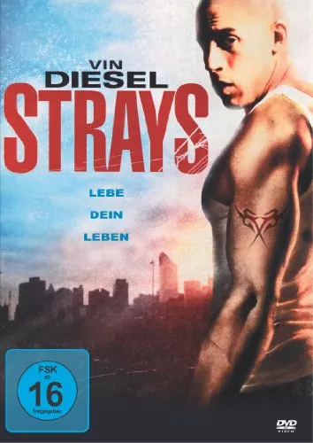 Strays - Lebe dein Leben