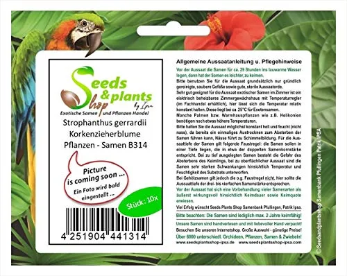 Stk - 10x Strophanthus gerrardii Korkenzieherblume Pflanzen - Samen B314 - Seeds & Plants Shop by Ipsa