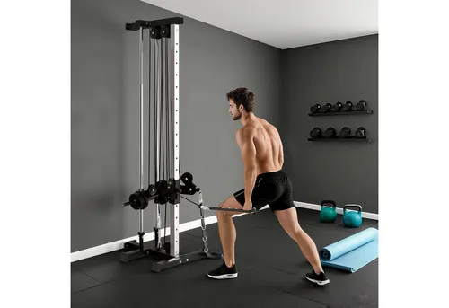 SPORTNOW Kraftstation höhenverstellbar mit Dual-Pulley-System - Dip-Stationen mit 15-fach verstellbaren Doppelseilzügen für gezieltes Muskeltraining. Maximale Belastbarkeit von 120 kg und platzsparendes Design für Ihr Heimtraining.