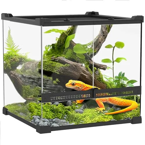 PawHut Glasterrarium für Reptilien 24L - Terrarium für Reptilien & Amphibien mit Frontbelüftung und ausbruchsicherem Drehverschluss für optimale Sicherheit und 360°-Sichtbarkeit.