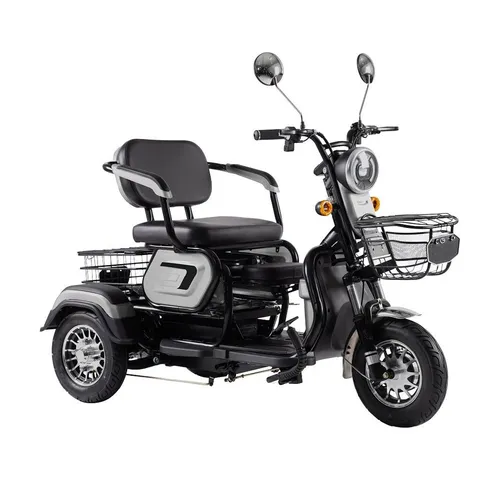 ENEWAY Elektromobil Bari ETrike - 3-Rad E-Mobil für Führerscheinfreiheit - Elektro-Dreirad mit 20000 mAh Akku, bis 25 km Reichweite und 6 km/h Geschwindigkeit. Ideal für entspannte Fahrten, spritzwassergeschützt und mit Straßenzulassung.