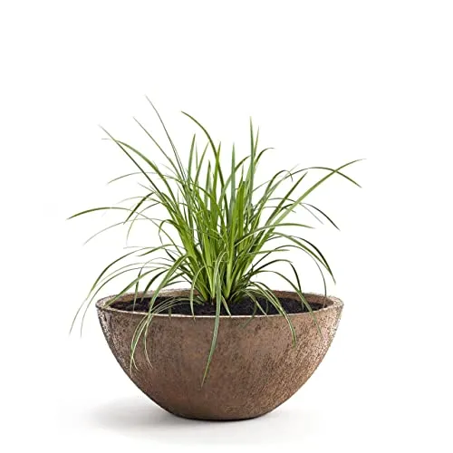 Pflanzwerk® Pflanzkübel Bowl Ø 28cm Rost – Frostbeständige Blumenschale in Premiumqualität - Entdecken Sie den Pflanzwerk® Pflanzkübel Bowl mit 28 cm Durchmesser. Ideal für Innen- und Außenbereich, bietet er maximale Widerstandskraft durch spezielle Imprägnierung. Genießen Sie die ansprechende Optik und Langlebigkeit!