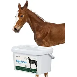 Lab-v EquiJunior Ergänzungsfuttermittel für Fohlen zur Unterstützung des Wachstums, der Entwicklung und der richtigen Ernährung von jungen Pferden und Ponys 2000g