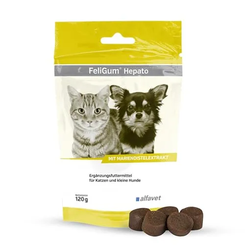 Alfavet FeliGum Hepato, Ergänzungsfuttermittel für Katzen und kleine Hunde - Leckere Kaudrops zur Unterstützung der Leberfunktion, mit hochwertigen Inhaltsstoffen für hohe Akzeptanz und einfache Fütterung. Ideal für Katzen und kleine Hunde.