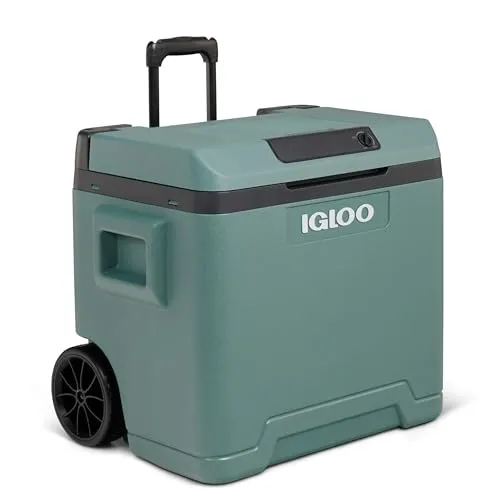 IGLOO elektrische Kühlbox IE42 – 42L für Auto & Steckdose - Sport & Outdoor-Freizeitzubehör mit vielseitiger Stromversorgung: Ideal für Auto und Zuhause, hält Getränke bis zu 20°C unter Umgebungstemperatur.