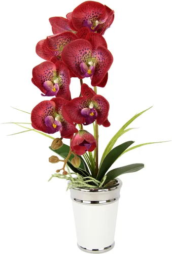I.Ge.A. Kunstblume "Orchidee", rot, 52cm hoch - Die stilvolle Kunstblume "Orchidee" bringt lebendige Farbakzente in jeden Raum. Mit naturgetreuer Optik und praktischem Keramiktopf eignet sie sich perfekt für die Dekoration auf Fensterbänken, Sideboards oder Regalen.