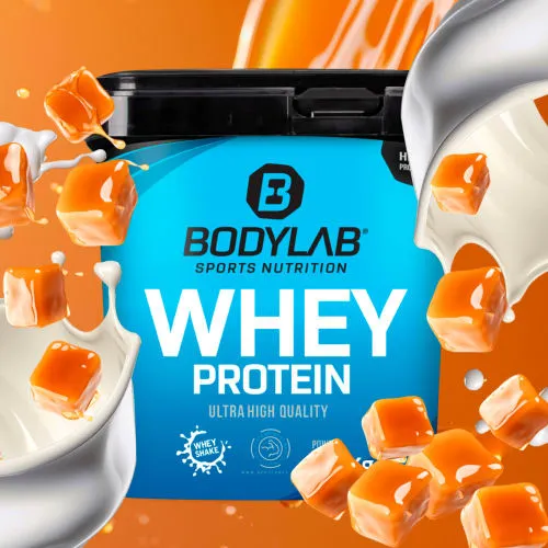 Bodylab24 Whey Protein Pulver Toffee 1kg - Molkenprotein mit bis zu 80% Eiweiß, ideal für Muskelaufbau und Fitness. Perfekte Löslichkeit in Milch und Wasser, ohne Aspartam oder künstliche Konservierungsstoffe.