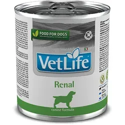 Farmina Vet Life Renal Dog 300g