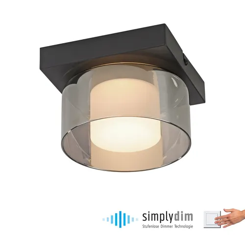 Paul Neuhaus Deckenleuchte RIKA - Elegante LED-Beleuchtung - Lampen mit stilvollem Design und energieeffizientem LED-Board. Die RIKA bietet warmweißes Licht, integrierte Memory-Funktion und hohe Lichtleistung für eine perfekte Atmosphäre.