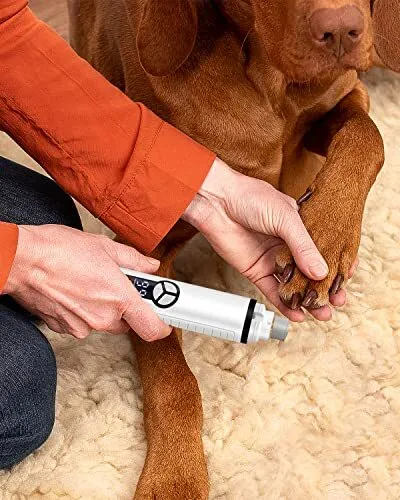 Krallenschleifer Hunde mit LED-Leuchten 40 Dezibel super-leise Lärm krallen