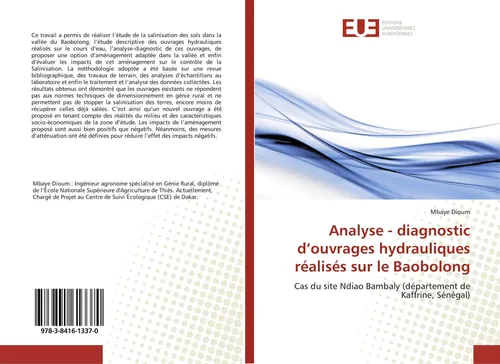 Mbaye Dioum | Analyse - diagnostic d'ouvrages hydrauliques réalisés sur le...