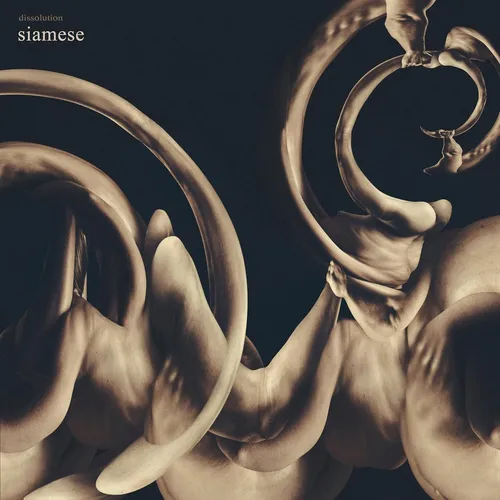 Siamese Dissolution (Vinyl) 12" Album Coloured Vinyl (PRESALE 26.06.2026)