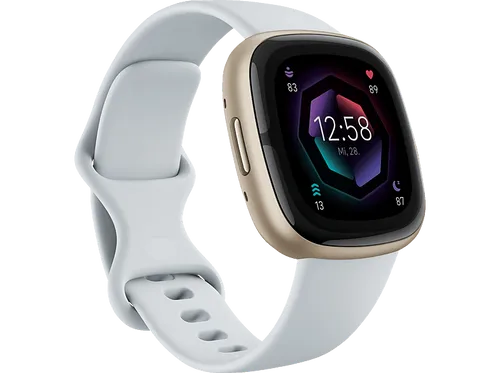FITBIT Sense 2 Smartwatch - Aluminium Elastomer, S L, Blue Mist Soft Gold, Stressbewältigung und Schlafanalyse für ein gesünderes Leben