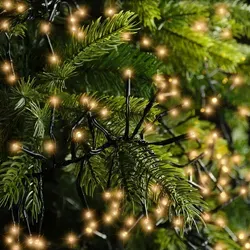 Lumineo LED Lichterkette Cluster klassisch warm - 1128 LEDs, 10,5 m mit schwarzem Kabel