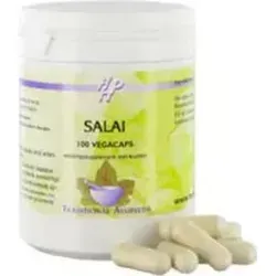 Holisan - Salai Boswellia Serrata - 100 Kapseln - Ayurvedisches Nahrungsergänzungsmittel mit 500 mg Boswellia-Extrakt pro Kapsel. Unterstützt die Gelenkbeweglichkeit und ist ideal für eine gesunde Atemwegsfunktion. Praktische Einnahme: 3 x täglich 2 Kapseln.
