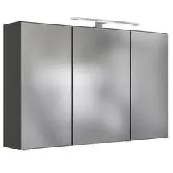 Spiegelschrank Arezzo mit LED 3-türig 100x64 cm Grau - Moderner Spiegelschrank ca. 100 x 64 x 20 cm mit drei Spiegeltüren, Türdämpfung und sechs verstellbaren Glaseinlegeböden. Inklusive LED-Beleuchtung, Steckdose und Lichtschalter für ein praktisches Bad-Upgrade.