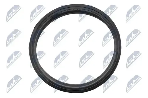 Kraftstoffpumpendichtung BPP-VW-007 NTY für AUDI SEAT SKODA VW