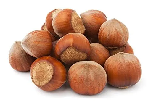 Natural Food Haselnüsse in Schale, Vegan, 5kg - Genießen Sie die köstlichen Haselnüsse in Schale, die Ihre Küche bereichern. Vielseitig einsetzbar für Snacks, Müsli und mehr – ideal für jeden Anlass.