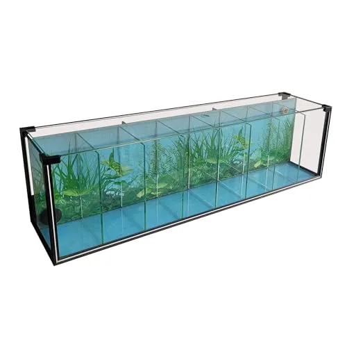 FT81 Zucht-Aquarium 38 L – 8-Kammer Systembecken mit Biofilter - Vielseitiges Zuchtbecken mit 8 Kammern für optimale Aufzucht und Trennung. Inklusive Rückwand-Biofilter für stabile Wasserwerte und flexiblen Betrieb. Ideal für Garnelen und Jungfische in Regalsystemen.
