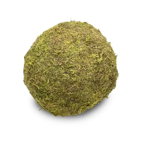 NaDeco Moos-Ball mit Durchmessern von 8, 10, 15, und 20cm zur Auswahl | Moos-Kugel | Moosball | Mooskugel | Deko-Moos | Moos-Deko | Asia-Moos-Ball | Kokedama, Größe:Ø 20 cm