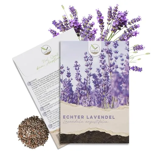300x Lavendel Samen mit hoher Keimrate - Vielseitig einsetzbare Heilpflanze & ideal für Bienen und Schmetterlinge (inkl. GRATIS eBook)