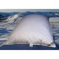 Betten Hofmann Federbettdecke 155x220 cm - Allergiker Bettdecken mit 2600g Füllung aus 70% Federn und 30% Daunen, ideal für kuschelige Nächte und geeignet für Hausstauballergiker.