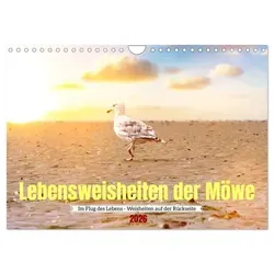 Www. Bihlmayer-Media. Com Www. Bihlmayer-Media. Com | Lebensweisheiten der...