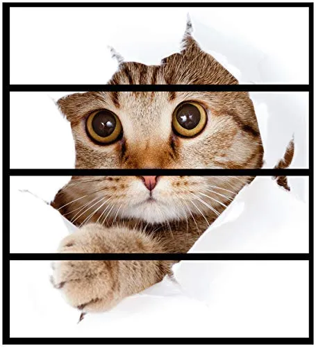 Wallario Möbelfolie/Aufkleber, geeignet für IKEA Malm Kommode mit 4 Schubfächern - Klebefolie Katze mit Blick nach vorn