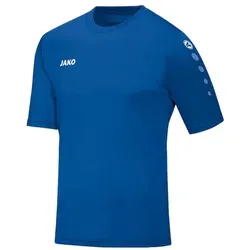 Jako Fußballtrikot Team KA Trikot (1-tlg) default M