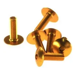 Verkleidungsschraubensatz M6X20 (6 Stk.) Goldfarben (Ta620Or) - Gold