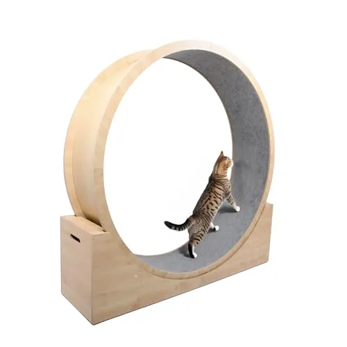 Elmato® Katzenlaufrad Simba L – Fitness und Spaß für Ihre Katze - Tierspielzeug: Das Elmato® Katzenlaufrad Simba L fördert die Fitness Ihrer Katze und hilft, Übergewicht zu vermeiden. Ergonomisches Design und leise Rollen für ein sicheres Training.