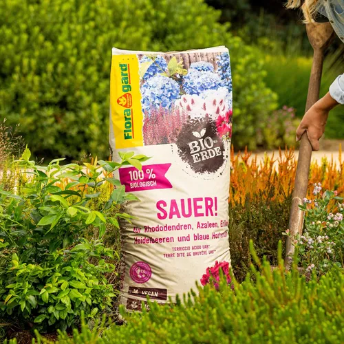 Floragard Bio-Erde Sauer 1x40 Liter - Torfreduzierte Bio-Spezialerde für Moorbeetpflanzen, ideal für Rhodos, Heidelbeeren und Hortensien