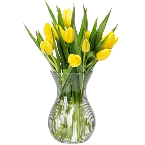 KONZEPT Blumenvase Glas 18 cm Hoch - Elegante Vase für Tulpen und Tischdeko - Diese stilvolle Glasvase mit 18 cm Höhe und 11 cm Durchmesser eignet sich perfekt für Tulpen und andere Blumen. Ihr elegantes Design und die spülmaschinenfeste Qualität machen sie zur idealen Wahl für Hochzeiten und Partys.