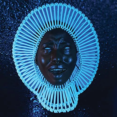 Awaken, My Love! [Vinyl LP] - Pop-Album auf Vinyl, professionell gereinigt und mit MP3-Download, perfekt für Sammler und Musikliebhaber.