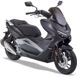 LuXXon Silvermax Motorroller - City Roller mit 300 ccm - 19 PS für max. 120 kmh - Grau