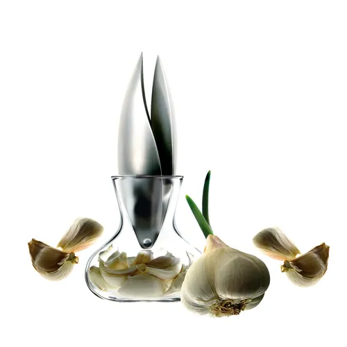 Eva Solo Knoblauchpresse - Hochwertige Knoblauchpresse aus poliertem Edelstahl, ideal für müheloses Zerkleinern von Knoblauch in der Küche.