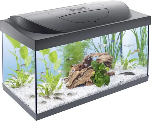 Tetra Starter Line Aquarium Set mit LED - Komplettset für Einsteiger - Aquarien, inklusive energiesparender LED-Beleuchtung für lebendige Farben und eine einfache Einrichtung für Anfänger.