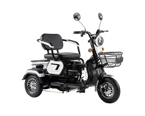 ENEWAY Elektromobil Bari - 500 W, 6 km/h, Set mit Körben und Ladegerät - Sucherzubehör mit wartungsfreiem, leistungsstarkem E-Motor, ideal für komfortable Fahrten und hohe Reichweite von 20 km.