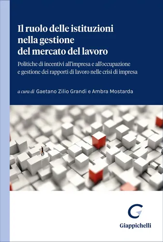 Gaetano Zilio G Il ruolo delle istituzioni nella gesti (Taschenbuch) (US IMPORT)