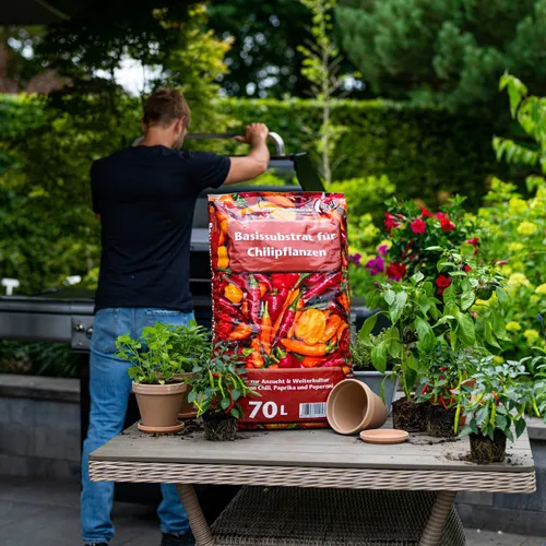 Floragard Universal Basissubstrat für Chillipflanzen 70 Liter - Ideal für die Anzucht von Chilis, Paprika und Peperoni. Mit optimalem pH-Wert und spezieller Mischung für kräftiges Wachstum und hohe Erträge.