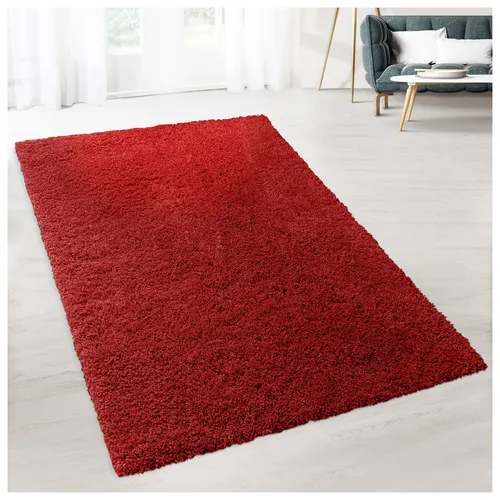 floordirekt Shaggy-Teppich Prestige Rot - Hochflor-Teppich "Prestige" in Rot, weich und stylisch. Ideal für gemütliche Wohnräume, sorgt für eine einladende Atmosphäre und ist pflegeleicht im Alltag.