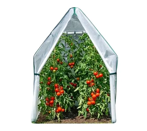 Westmann Foliengewächshaus Winterzelt Peperoni 180x180x200 cm - Garten-Zubehör mit schnellem Aufbau und optimalem Schutz für Ihre Pflanzen, das Überwinterungszelt Peperoni schafft ideale Bedingungen das ganze Jahr über.