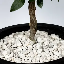 Marmor Ziersplitt weiß 16-32 mm - 25 kg Sack - Gartenverzierungen: Naturweißer Marmorsplitt, witterungsbeständig und ideal für pflegeleichte Steingärten oder als edle Umrandung für Beete.
