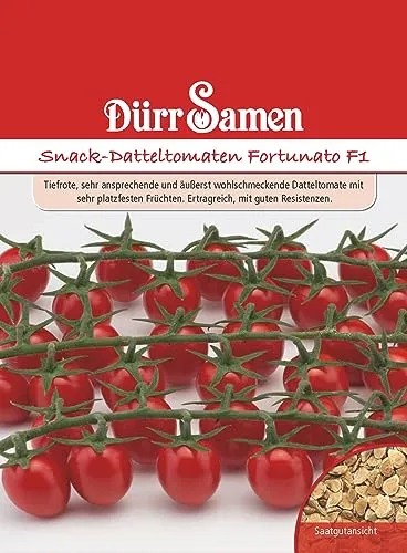 Datteltomaten Samen Rote Snack Tomate Fortunato Tomatensamen ca 6 Korn Ertragreich Saatgut Garten Hochbeet Kübel Dürr Samen