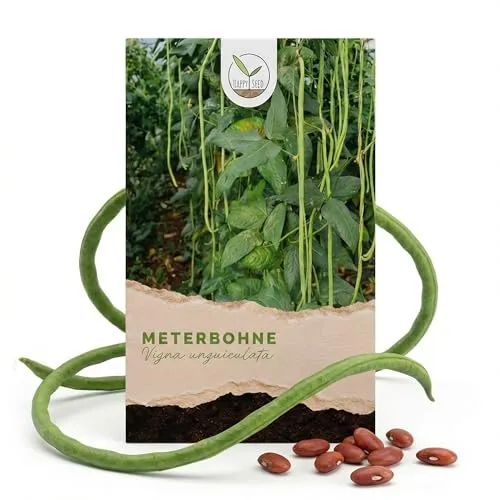 Meterbohne Samen (Vigna unguiculata) - Fadenloses Saatgut für Garten und Balkon - METERBOHNE - Ideal für den Anbau im Garten oder auf dem Balkon. Diese fadenlose Sorte liefert bis zu 1 Meter lange Hülsen und benötigt wenig Pflege. Genießen Sie frische, knackige Bohnen ohne lästiges Fadenziehen.