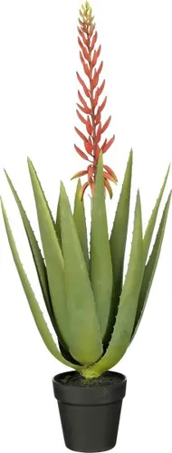 Mica Decorations Kunstpflanze Aloe vera im Topf - grün rot, Ø 43 x 82 cm - Kunstpflanze Aloe vera im Topf, pflegeleicht und ideal für eine lebendige Raumgestaltung ohne Gießen.