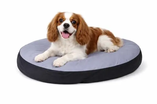 Karlie Kissen oval 60x50 cm grau-schwarz - Hochwertiges Hundekissen mit abnehmbarem Bezug für einfache Reinigung. Waschbar bei 95°C, ideal für kranke Hunde und sensible Vierbeiner mit Hautproblemen.