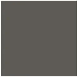 BRICOFLOR Wandfarbe Beige / Crème, Braun, Dimensa Wohncolor 2,5 Liter - 26 Rock beige|braun