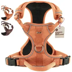 FREUDENTIER Hundegeschirr mit Mesh-Polsterung - Komfort & Sicherheit für jeden Hund - Weiteres Autozubehör - Ergonomisches Anti-Zug-Hundegeschirr mit atmungsaktivem Mesh, ideal für alle Wetterlagen und maximale Sicherheit beim Spaziergang.