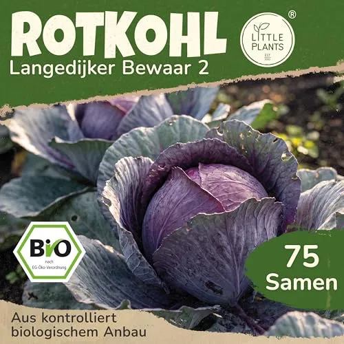 Little Plants BIO Rotkohl Samen 75 Rotkohlsamen Blaukraut Gemüsesamen Gemüsesaatgut Samenfest für Gemüsegarten, Hochbeet, Küche, Balkon und Garten